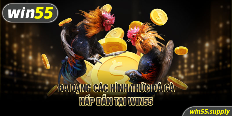 Đa dạng các hình thức đá gà hấp dẫn tại Win55