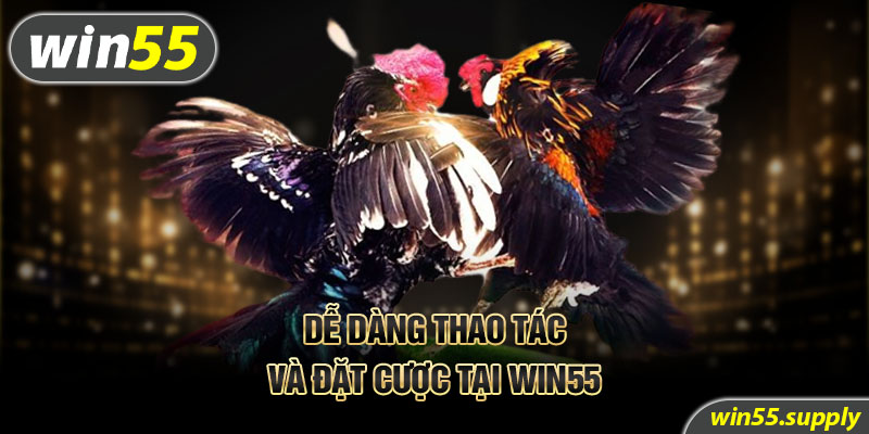 Dễ dàng thao tác và đặt cược tại Win55