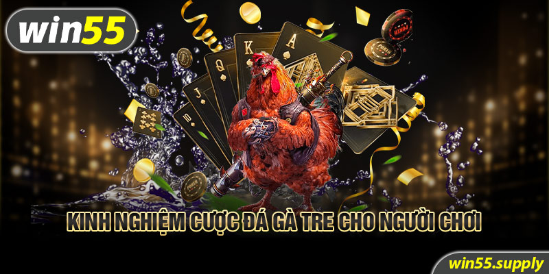 Kinh nghiệm cược đá gà tre cho người chơi