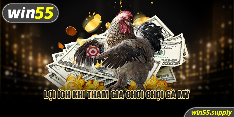 Lợi ích khi tham gia chơi chọi gà Mỹ