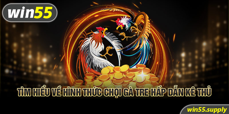 Tìm hiểu về hình thức chọi gà tre hấp dẫn kê thủ