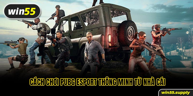 Cách chơi Pubg Esport thông minh từ nhà cái