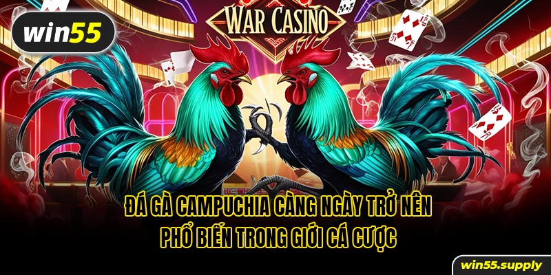 Đá gà Campuchia càng ngày trở nên phổ biến trong giới cá cược