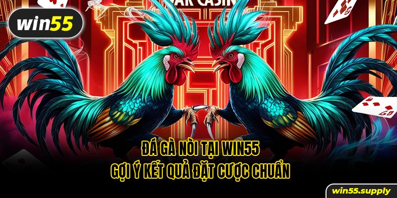 Đá gà nòi tại win55 gợi ý kết quả đặt cược chuẩn