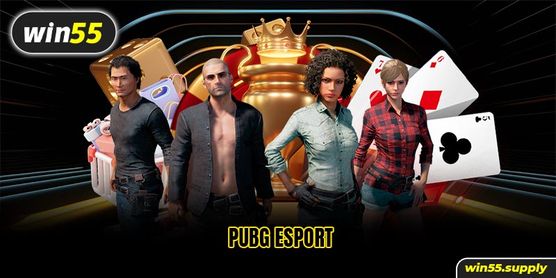 Pubg Esport